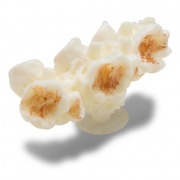 Crocs Jibbitz Popcorn 2 papucs kiegészítő