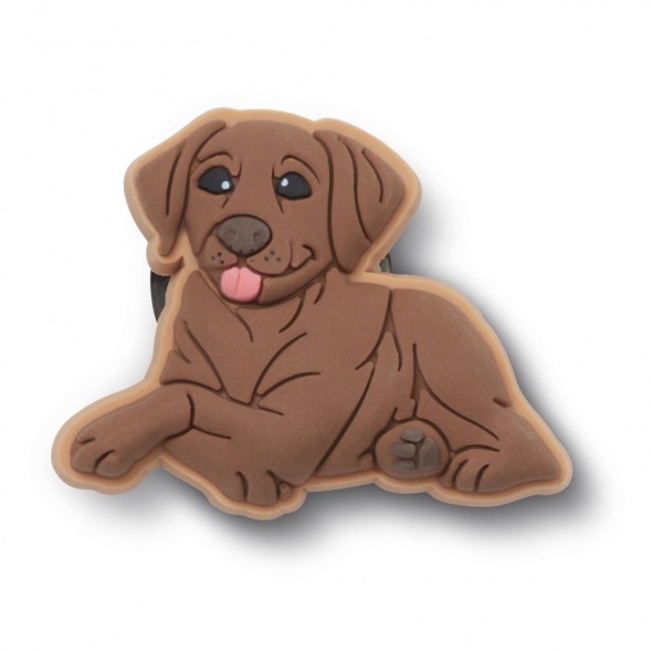 Crocs Jibbitz Firka labrador papucs kiegészítő