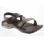 Zip Brown