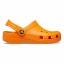 Orange Zing