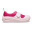 Dragon Fruit