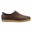 Beaver Brown